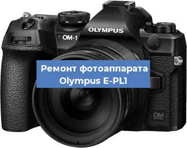 Прошивка фотоаппарата Olympus E-PL1 в Москве